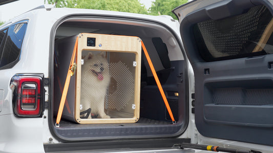 Comfort Pod - World’s First AC Dog Crate